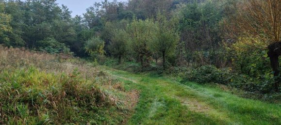 Дом с 3 комнатами в Санфре, Италия № 34068 5