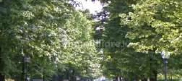 2 rooms Office in Montebelluna, Italy No. 287304 7