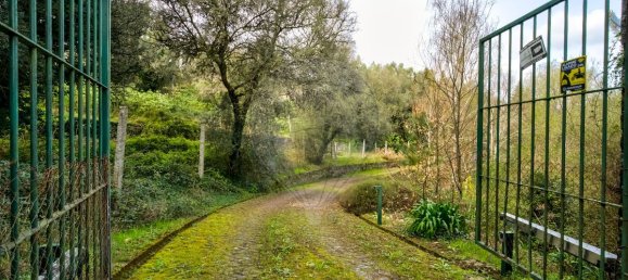 9 غرف نوم منزل في Covelas, Portugal رقم 34262 14