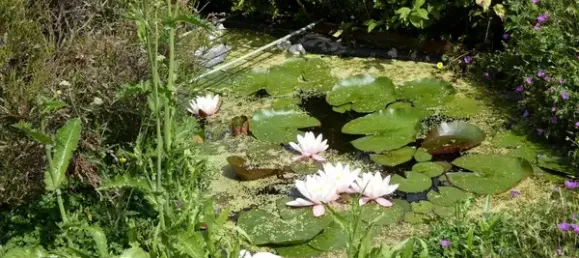 Adosado de 4 habitaciónes en Zwickau, Germany No. 261169 7