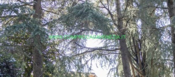 3 bedrooms Villa in Venice, Italy No. 148441 8