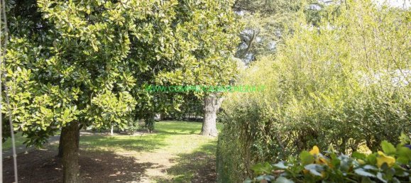 3 bedrooms Villa in Venice, Italy No. 148441 14