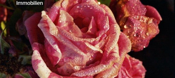 Casa de 3 habitaciónes en Grafenbach-St. Valentin, Austria No. 177082 21