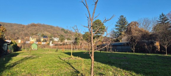 1335m² Land in Langenzersdorf, Austria No. 100197 3