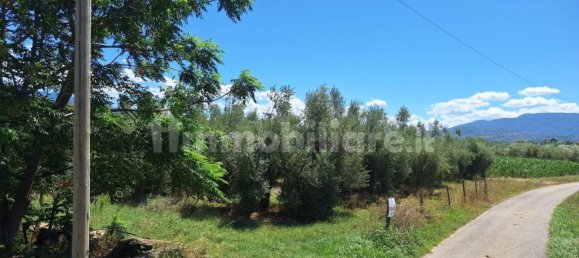 8260m² Land in Altavilla Silentina, Italy No. 264524 4