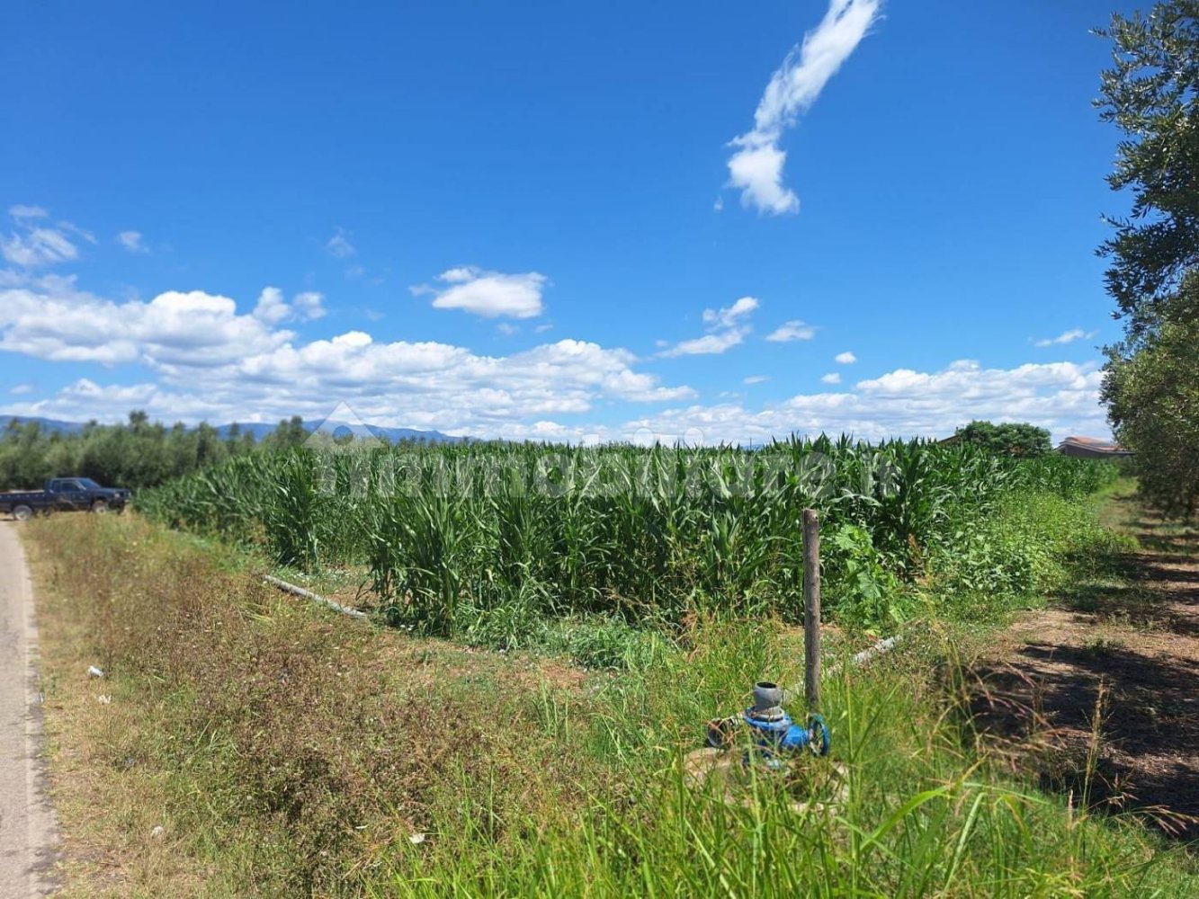 8260m² Land in Altavilla Silentina, Italy No. 264524