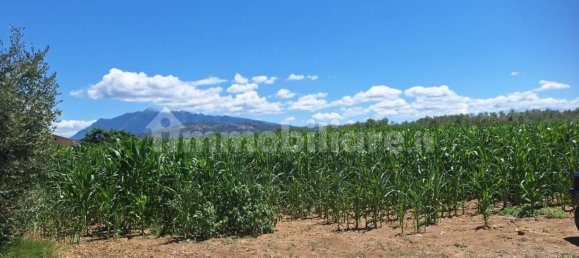 8260m² Land in Altavilla Silentina, Italy No. 264524 6