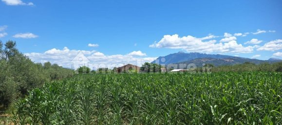 8260m² Land in Altavilla Silentina, Italy No. 264524 2