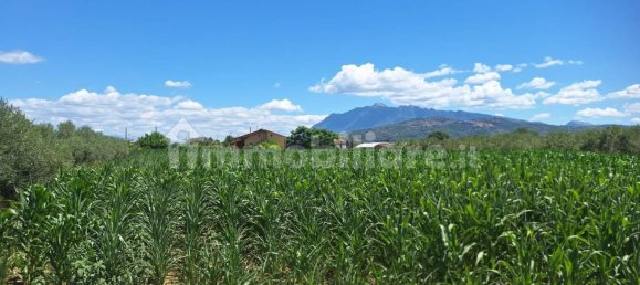 8260m² Land in Altavilla Silentina, Italy No. 264524 7