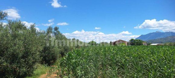 8260m² Land in Altavilla Silentina, Italy No. 264524 5