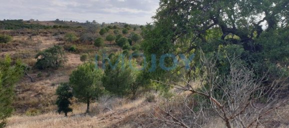 1280m² Land in Azinhal, Portugal No. 82386 12