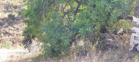 1280m² Land in Azinhal, Portugal No. 82386 3