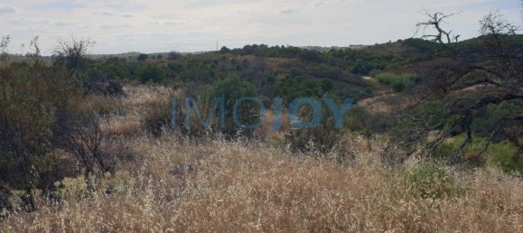 1280m² Land in Azinhal, Portugal No. 82386 9