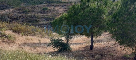1280m² Land in Azinhal, Portugal No. 82386 4