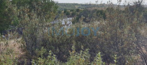 1280m² Land in Azinhal, Portugal No. 82386 6