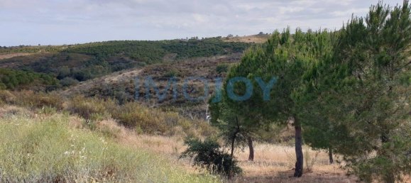 1280m² Land in Azinhal, Portugal No. 82386 2