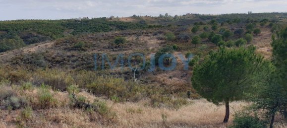 1280m² Land in Azinhal, Portugal No. 82386 8