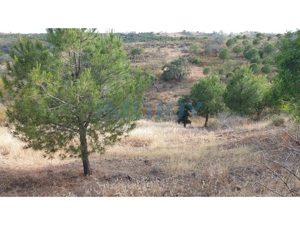 1280m² Land in Azinhal, Portugal No. 82386