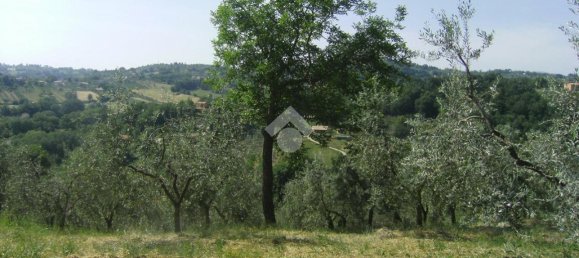 Terreno en Poggio Catino, Italy 50000 m² No. 159784 7