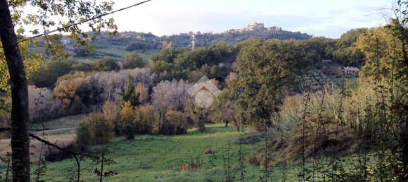 Terreno en Poggio Catino, Italy 50000 m² No. 159784 4