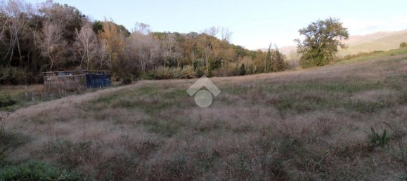 Terreno en Poggio Catino, Italy 50000 m² No. 159784 9