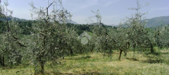 Terreno en Poggio Catino, Italy 50000 m² No. 159784 5