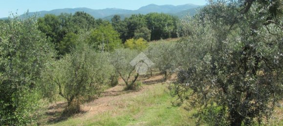 Terreno en Poggio Catino, Italy 50000 m² No. 159784 10