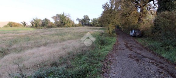 Terreno en Poggio Catino, Italy 50000 m² No. 159784 6