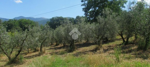 Terreno en Poggio Catino, Italy 50000 m² No. 159784 11