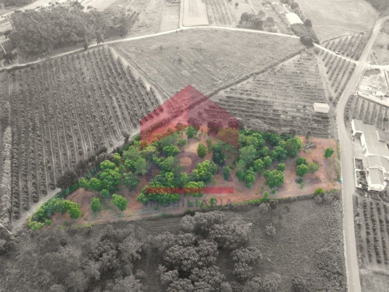  Land in Obidos, Portugal No. 193914