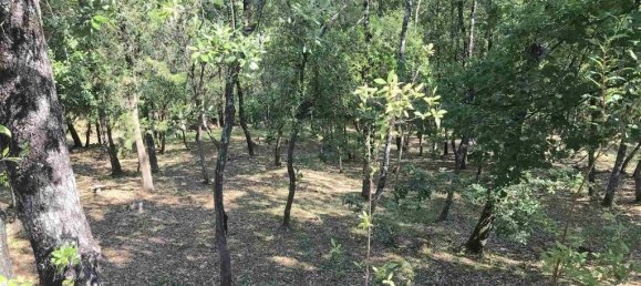 4 bedrooms Villa in Bagno a Ripoli, Italy No. 179351 2