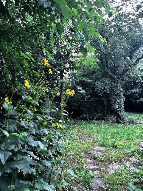  قطعة أرض في Lichterfelde, Germany رقم 357117