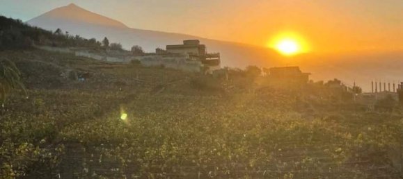 9 bedrooms House in La Orotava, Spain No. 278657 39