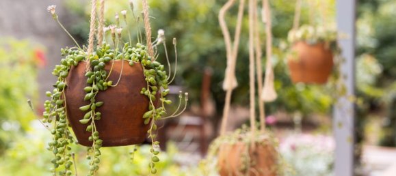 9 bedrooms House in La Orotava, Spain No. 278657 30