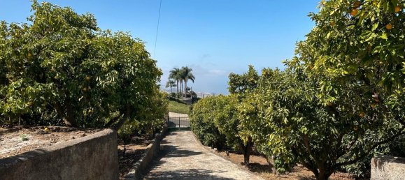 9 bedrooms House in La Orotava, Spain No. 278657 11