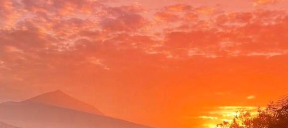 9 bedrooms House in La Orotava, Spain No. 278657 42