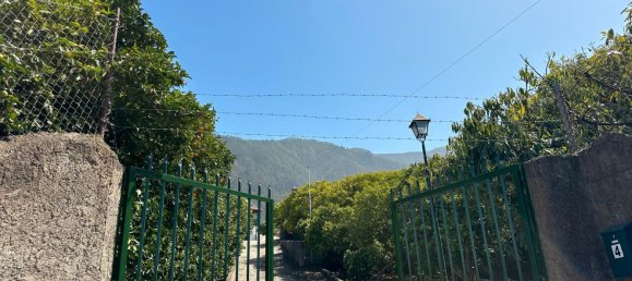 9 bedrooms House in La Orotava, Spain No. 278657 37