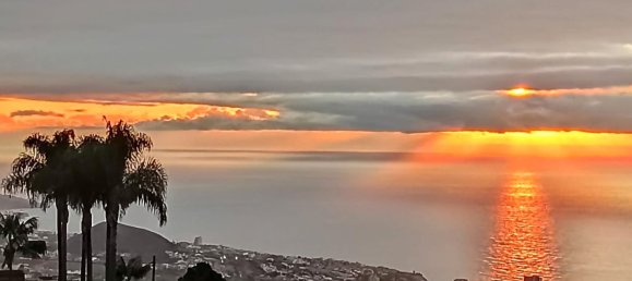 9 bedrooms House in La Orotava, Spain No. 278657 41