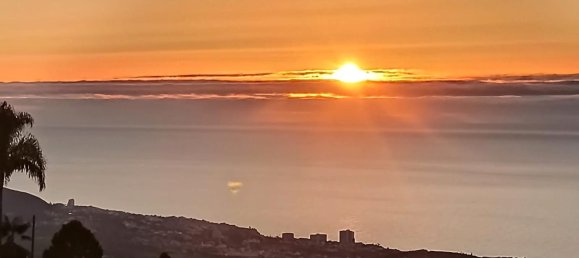 9 bedrooms House in La Orotava, Spain No. 278657 43