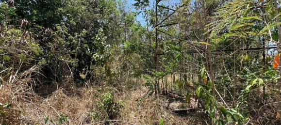  Commercial property in Hua Hin, Thailand No. 10498 12