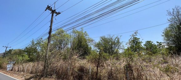  Commercial property in Hua Hin, Thailand No. 10498 11