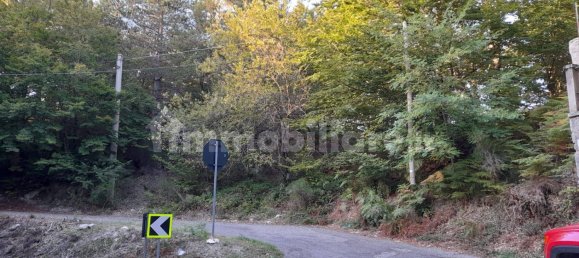  قطعة أرض في Santo Stefano in Aspromonte, Italy 539متر مربع رقم 97979 2