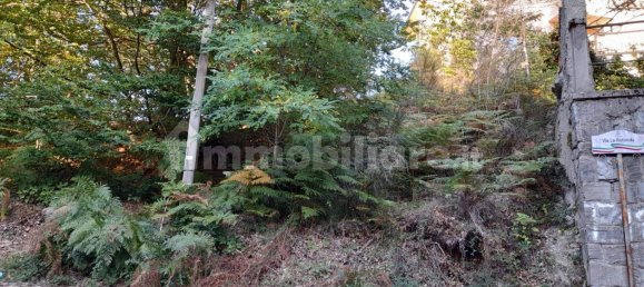  قطعة أرض في Santo Stefano in Aspromonte, Italy 539متر مربع رقم 97979 3