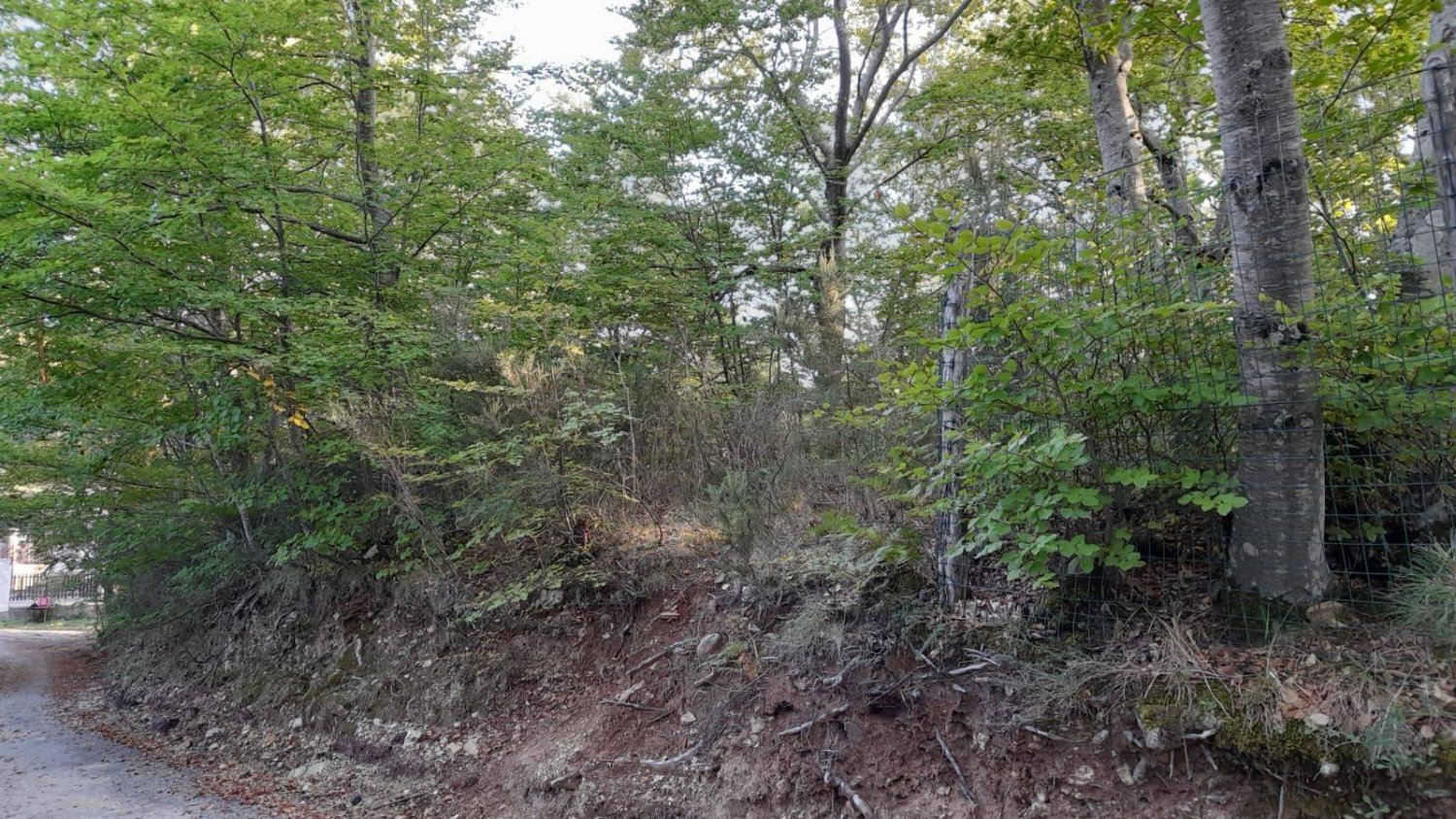  قطعة أرض في Santo Stefano in Aspromonte, Italy 539متر مربع رقم 97979