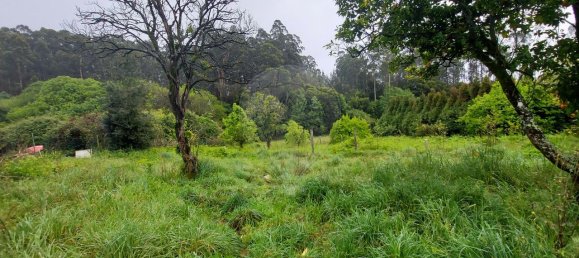 3 Schlafzimmer Haus in Ovar, Portugal, Nr. 42713 5