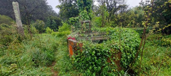 3 Schlafzimmer Haus in Ovar, Portugal, Nr. 42713 7