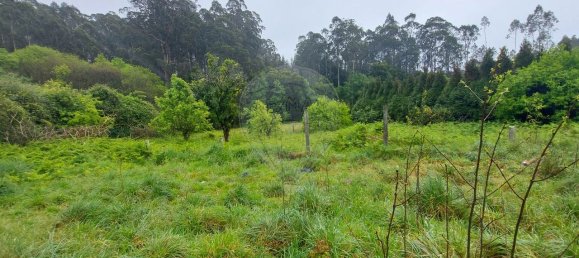 3 Schlafzimmer Haus in Ovar, Portugal, Nr. 42713 2
