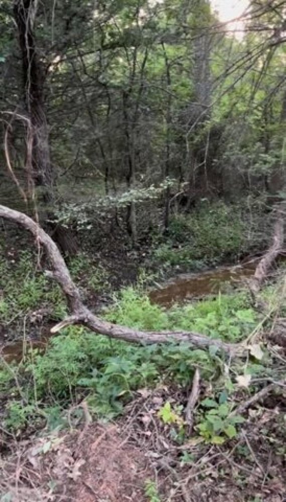  Land in Newalla, USA No. 476727