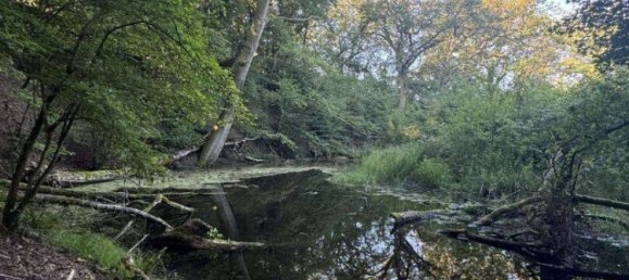  قطعة أرض في Klang, France 25674متر مربع رقم 238342 3