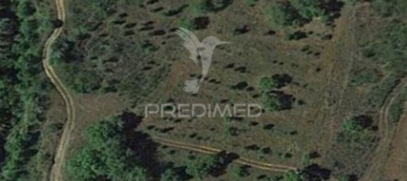 720m² Land in Sao Bras de Alportel, Portugal No. 83880 10